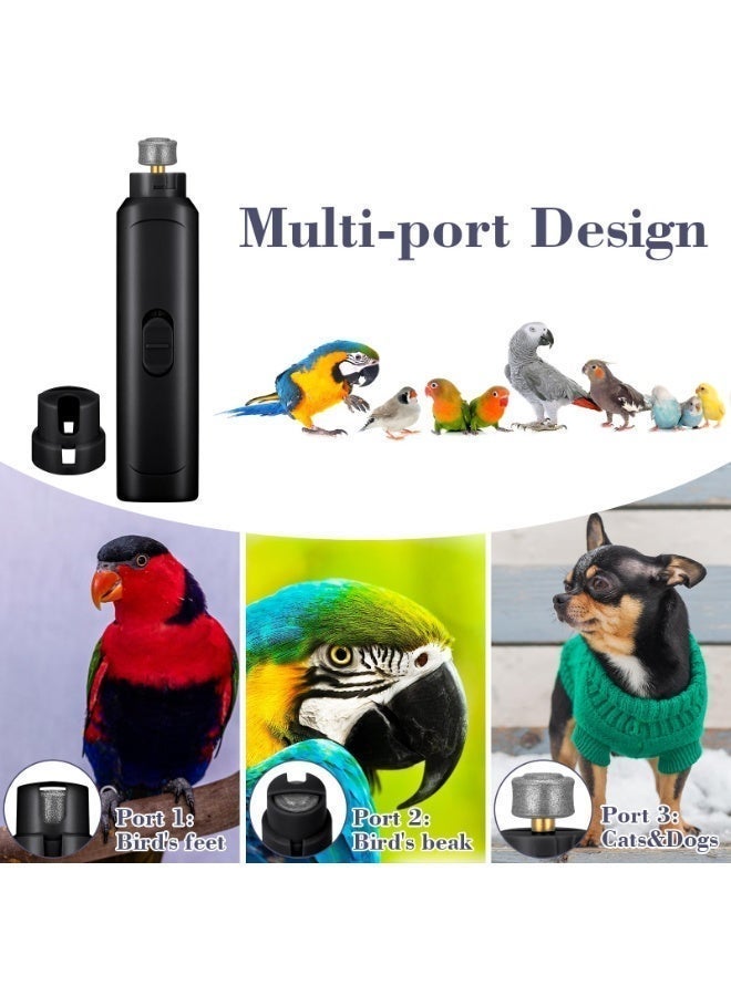 Bird Nail Grinder with Bird Nail Clipper Bird Nail Trimmer Bird Nail File with LED Lamp Grooming Tool for Bird Parrot Budgerigars Parakeets Myna Conure Finches Lovebirds (Black) - Image 4